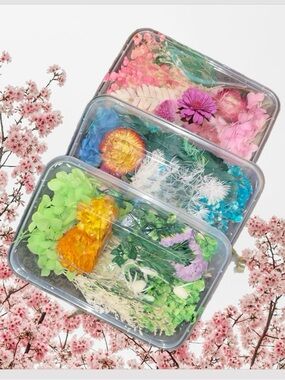 3 boxes of Organic Dried flowers for DIY Projects